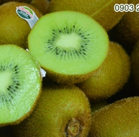 1 Kiwi xanh New Zealand