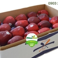 Thùng táo Red Delicious Mỹ