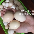 Trứng gà 2 lòng đỏ, trứng gà ác