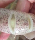 Hình ảnh: Mực trứng ngon