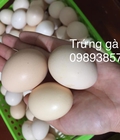 Hình ảnh: Trứng gà 2 lòng đỏ, trứng gà ác