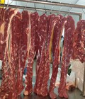 Hình ảnh: Cung cấp thịt Bò tơ củ chi