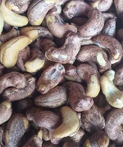 Điều nguyên hạt bình phước