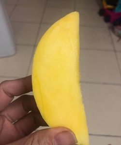 Xoài tứ quý, xoài tiến vua