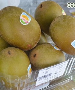 Kiwi vàng Sungold New Zealand