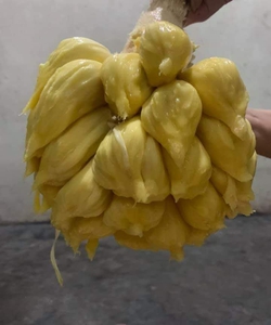 Mít mật, dưa hấu