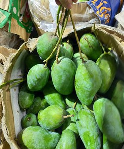 Chuẩn xoài hạt lép An Giang