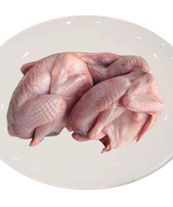 Chim cút tươi có trứng