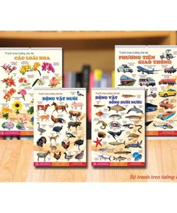 Bộ tranh 14 chủ đề cho bé yêu