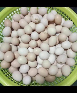 Cua, trứng vịt, trứng gà quê sạch