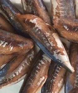 Cá nục một nắng giá hạ nhiệt