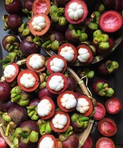 Hoa quả tươi ngon