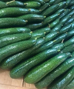 Bơ 034 cuối tuần về