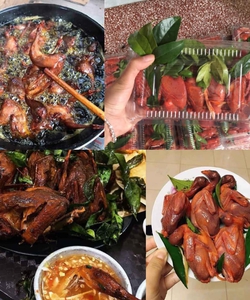 Chim quay móc mật