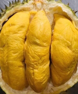 Hoa quả tươi sạch