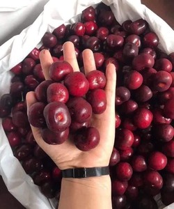 Cherry Mỹ