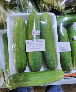 Rau củ quả Vietgap