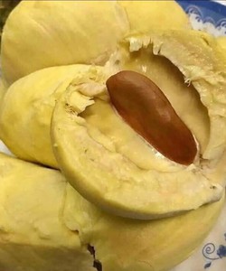 Cơm Sầu Ri6   Bao Sầu 1 Đổi 1