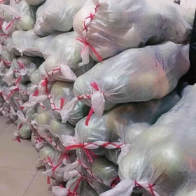 Bưởi năm roi Vĩnh Long mua sắm online 