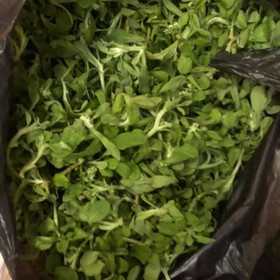 Rau khúc tươi tự làm bánh mua sắm online 