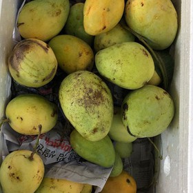 Xoài tứ quý, xoài tiến vua mua sắm online 