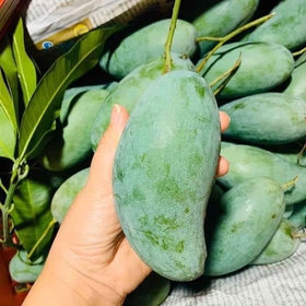 Xoài thái mua sắm online 