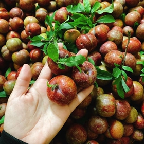 Mận vip mua sắm online 