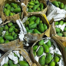 Chuẩn xoài hạt lép An Giang mua sắm online 