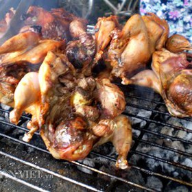 Chim cút tươi có trứng mua sắm online 