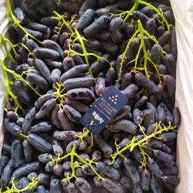 Nho ngón Hellog của Úc mua sắm online 