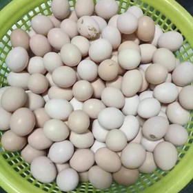 Cua, trứng vịt, trứng gà quê sạch mua sắm online 