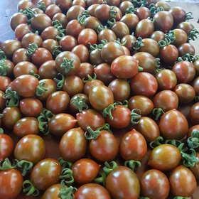 Rau củ đà lạt mua sắm online 