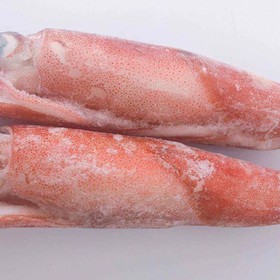 Mực ống câu mua sắm online 