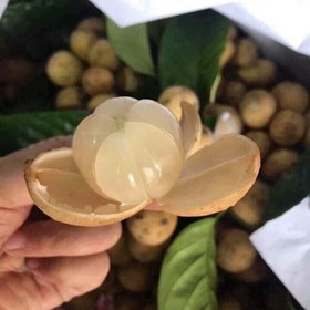 Bòn bon Thái mua sắm online 