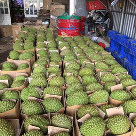 Sầu riêng ri6 loại 1 mua sắm online 