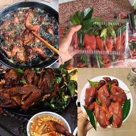 Chim quay móc mật mua sắm online 