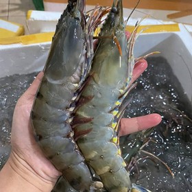 Tôm sú mua sắm online 