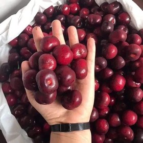 Cherry Mỹ mua sắm online 
