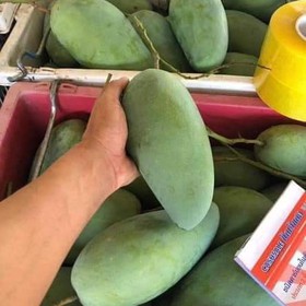 Xoài Thái mua sắm online 