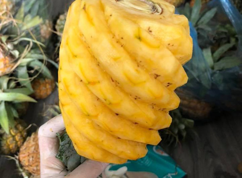 Dứa mật giá hạ nhiệt 29784161 | Rongbay.com