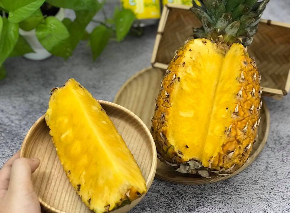 Dứa mật giá hạ nhiệt 29784161 | Rongbay.com